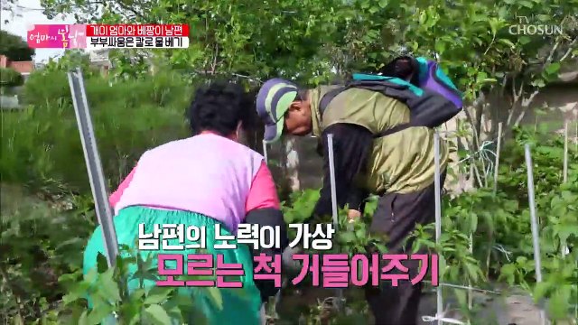 “달래야 해. 아기처럼” 츤데레 엄마 눈에선 꿀이 뚝뚝♥