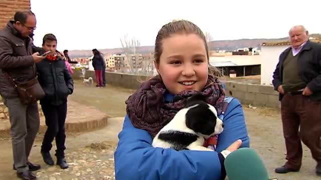 San Antón bendice a perros, conejos y caballos en la ermita de Guadix
