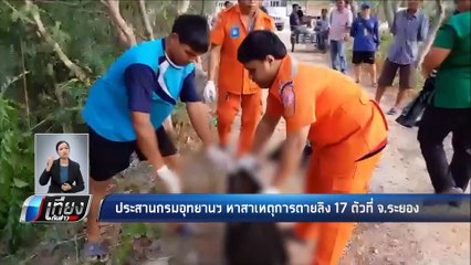 ประสานกรมอุทยานฯ หาสาเหตุการตายลิง 17 ตัว ที่ จ.ระยอง - เที่ยงทันข่าว