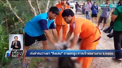 เร่งล่าคนวางยา "ลิงแสม" ตายยกฝูง ศาลเจ้าพ่อยางงาม จ.ระยอง - เที่ยงทันข่าว