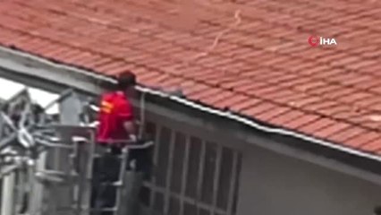 İtfaiye ekipleri güvercin ve yavru köpeğin imdadına koştu