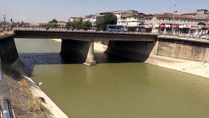 Asi Nehri'nde balık ölümleri - HATAY