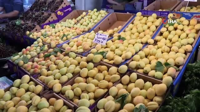 Malatya kayısısı tezgaha indi, kilosu 6-7 liradan satılıyor