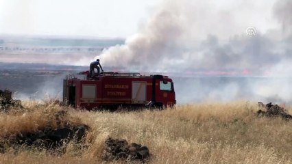 Bin dönümlük ekili tarlada yangın - DİYARBAKIR