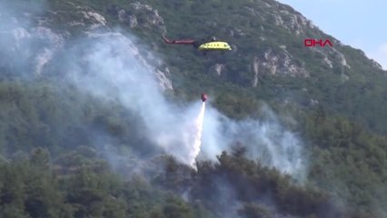 İZMİR Bornova'da ormanlık alanda yangın