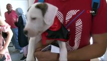 Sarıyer’de Bir Seçmen Yavru Köpeği ile Oy Kullandı