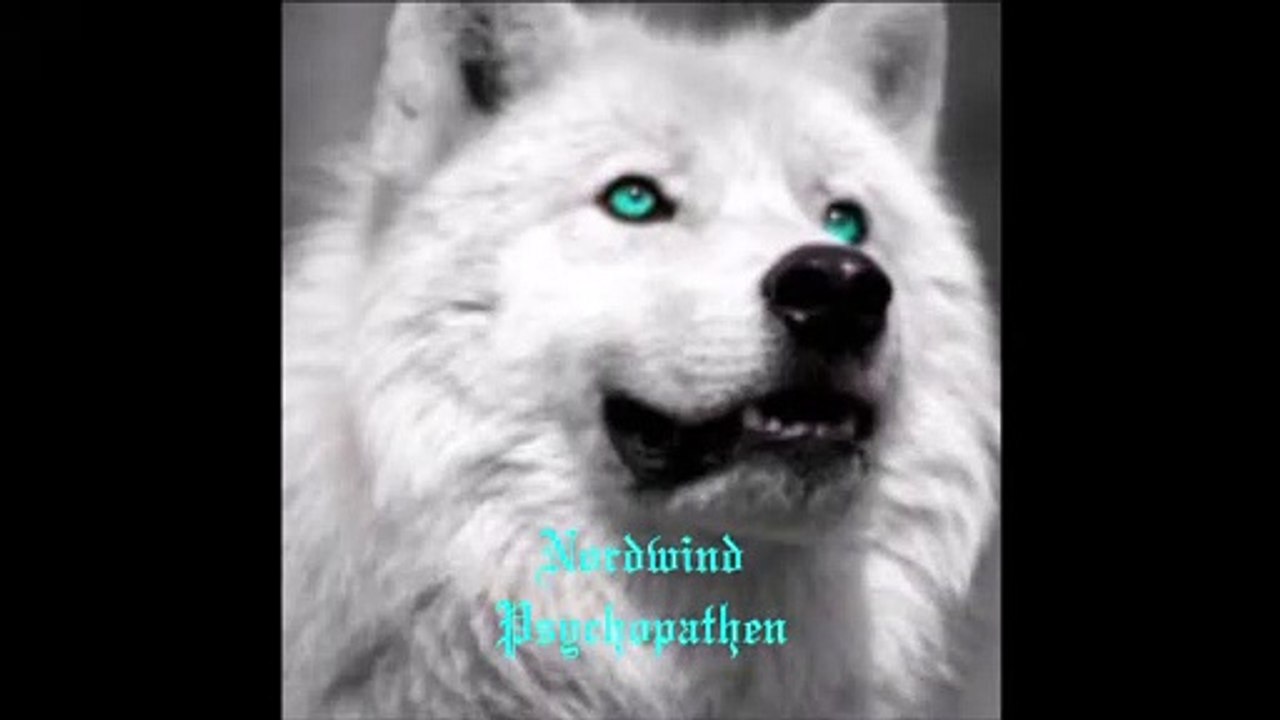 Nordwind - Psychopathen