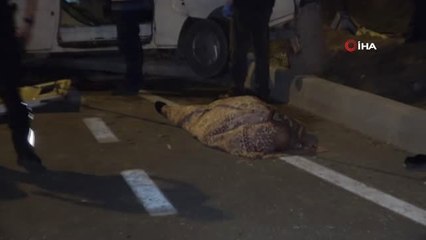 Kontrolden çıkan minibüs refüjdeki ağaca çarptı: 1 ölü, 6 yaralı