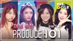 PRODUCE 101 S1 Special part2. I.O.I (1h 46m Stage Compilation)