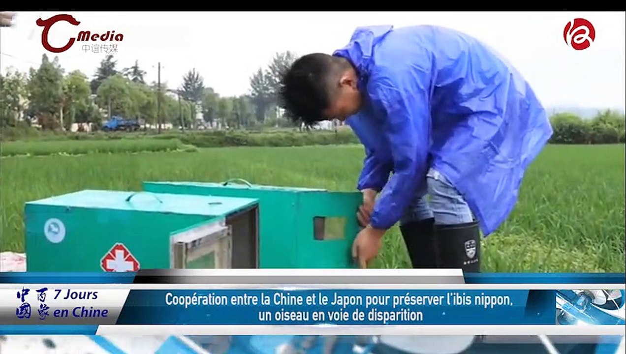 26/06/2019 中国百象 7 jours en chine