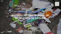 Nouveau record mondial de production de cocaïne