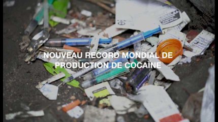 Nouveau record mondial de production de cocaïne