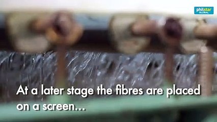 Skin deep: Japan's 'washi' paper torn by modern life