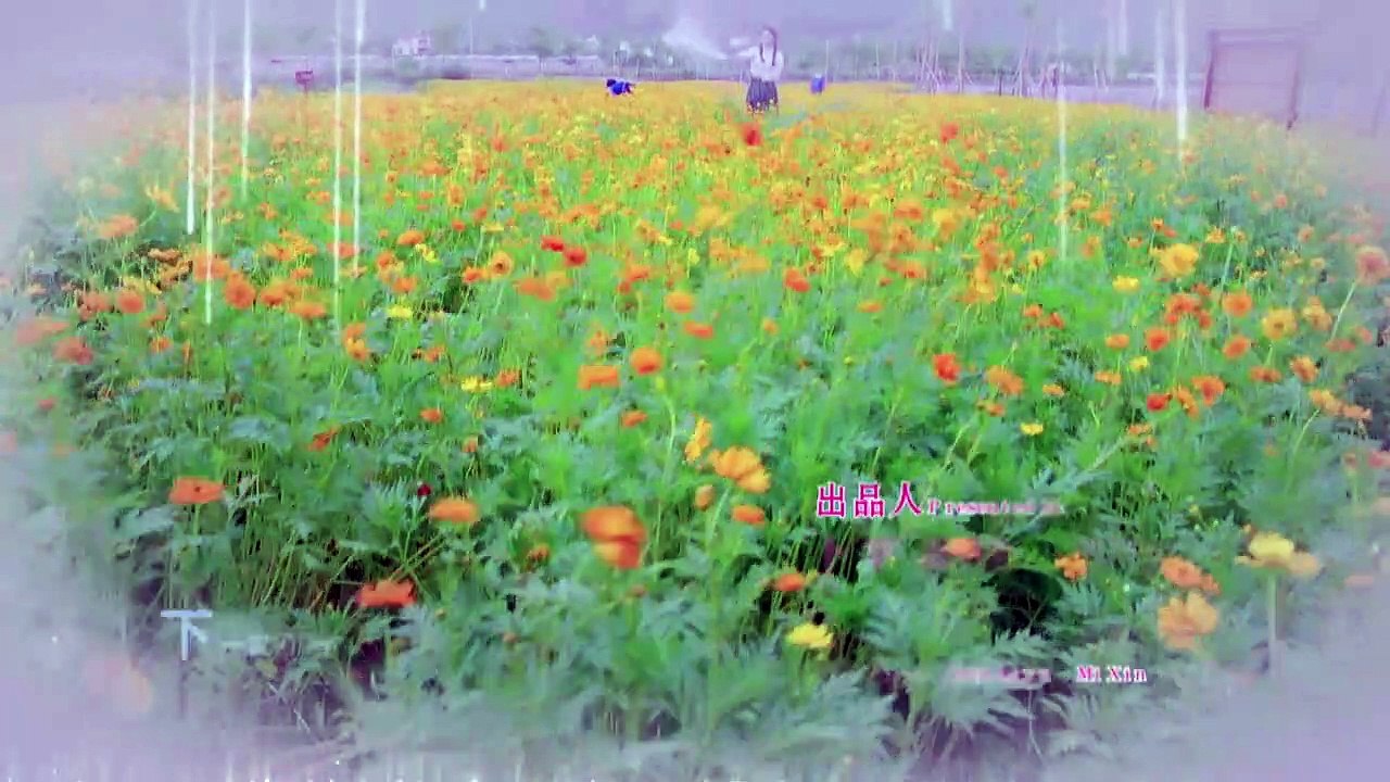 愛,來的剛好 Love,Just Come +English Sub英文字幕无删减版 |第44集（韩栋、江铠同、李威、张熙媛）