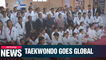 Taekwondo classes in Honduras are looking to expand