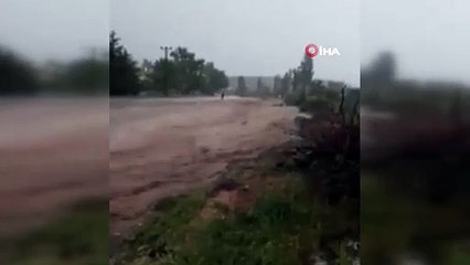 Nevşehir’de inekler sele böyle kapıldı