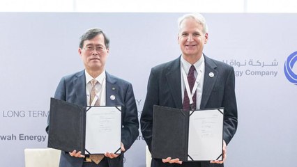 UAE 원전 정비사업, 결국 5년 단기 체결 / YTN