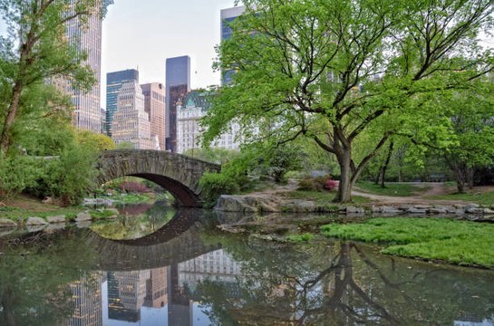 20 Minutes Outside Each Day Will Make You Happier