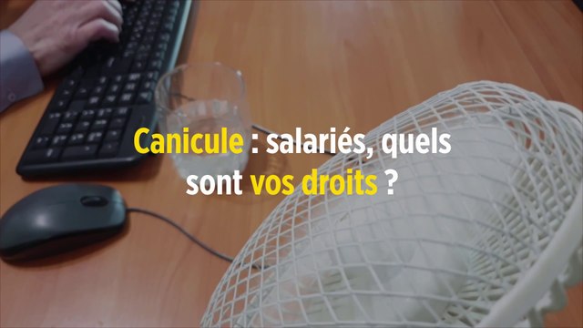 Canicule : salariés, quels sont vos droits ?