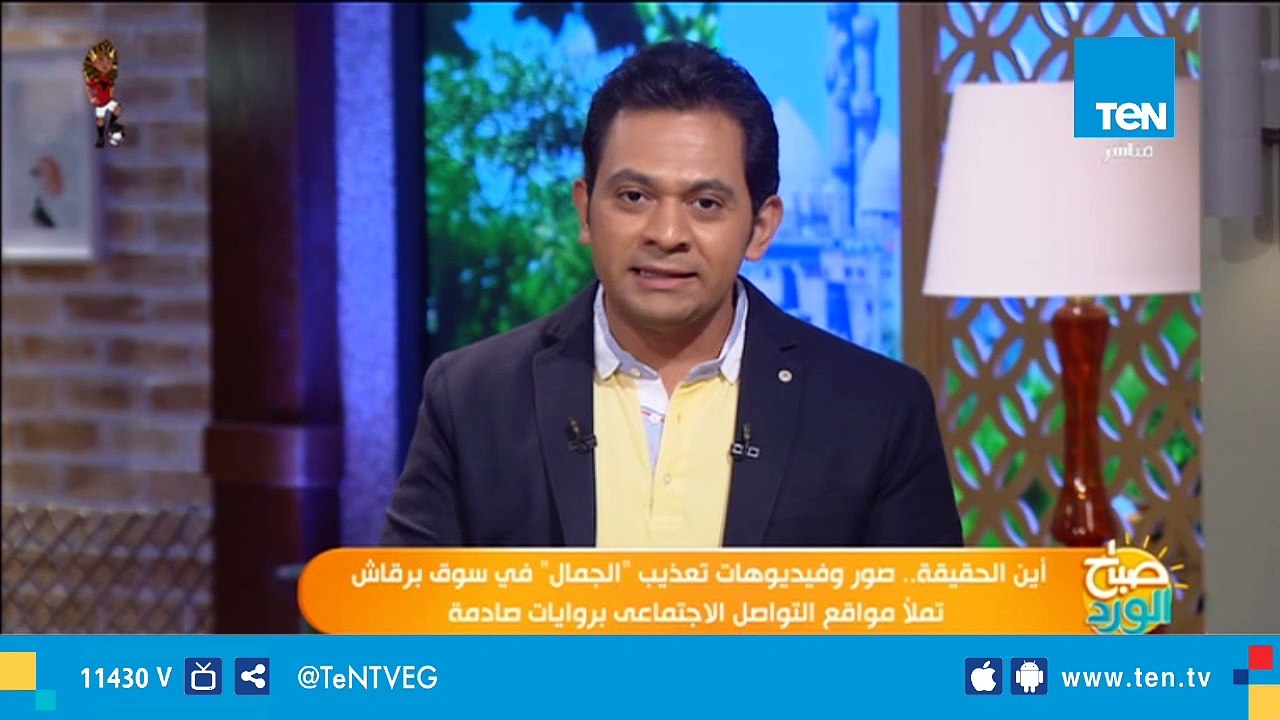 المكتب الفني لهيئة الخدمات البيطرية: الصور المنتشرة على "السوشيال ميديا" لتعذيب الجمال "قديمة"