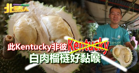 【今日北马头条】此Kentucky非彼Kentucky 白肉榴梿好黏喉
