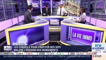 La vie immo: Les conseils pour profiter des SCPI malgré l'érosion des rendements - 24/06