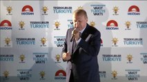 Erdogan gana las elecciones presidenciales de Turquía