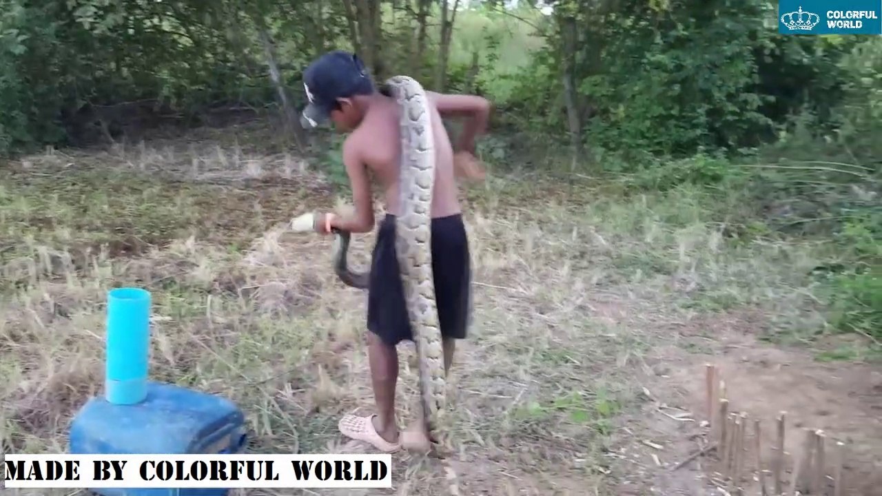 creative snake trap made by smart boy - work 100% efficiently