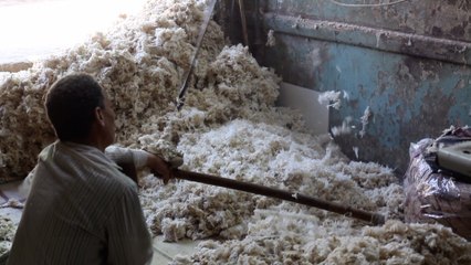 25 سنة في مهنة التنجيد.. معوض وسمير: لسه فيه ناس بتحب القطن