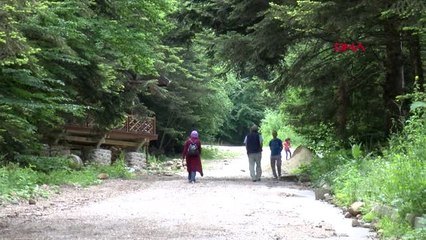 BOLU GÖLCÜK'TE 7 MİLYON TL HARCANARAK YAPILAN BUNGALOVLAR SÖKÜLECEK