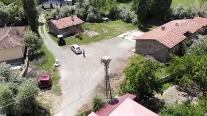 Yuvalarından düşen leylek yavrularına şefkat eli