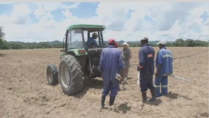 Zimbabwe : des fermiers blancs indemnisés