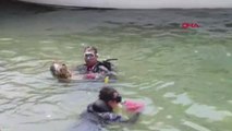 MUĞLA Dalyan Kanalı ve Köyceğiz Gölü'nden 20 römork atık çıkarıldı