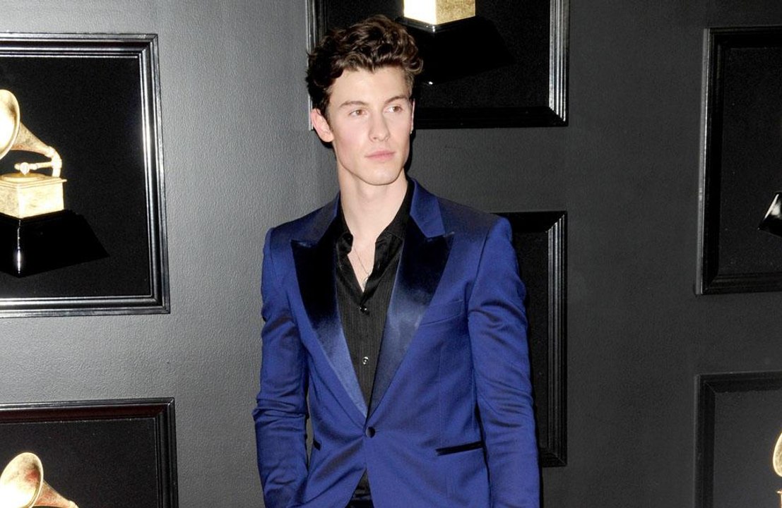 Shawn Mendes reflects on bullying over music dream