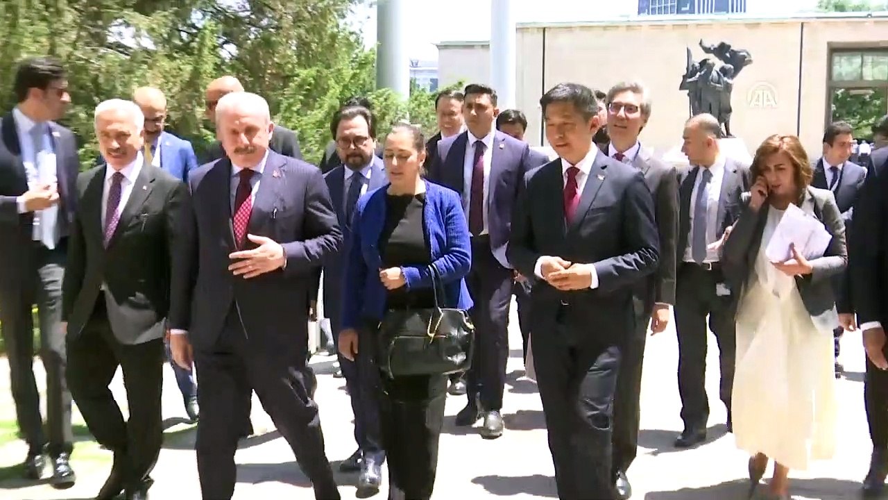 TBMM Başkanı Şentop, Singapur Parlamento Başkanı Chuan Jin ile görüştü (2) - TBMM