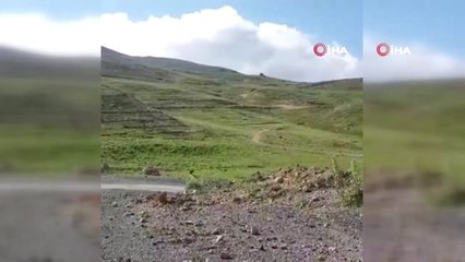 Herkes tatilde, Emre Demir Erciyes'te krosta