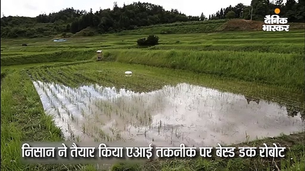 निसान ने बनाया AI बेस्ड डक रोबोट, बतख की तरह खेत से हटाएगा खरपतवार और कीड़े-मकोड़े