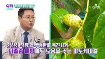 혈관 염증을 예방시킨다! 여름철 뇌졸중 예방을 돕는 *노니*의 효능은?!