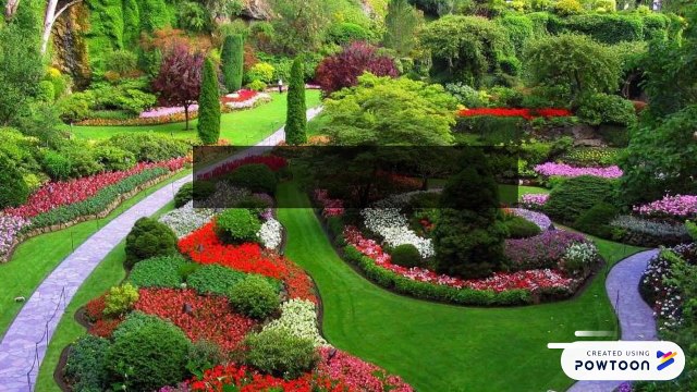 San Diego landscape designers