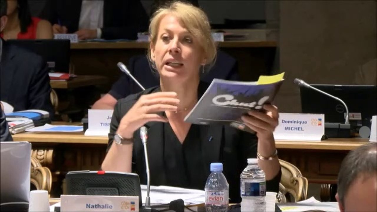 Nathalie KOENDERS en discussion générale le 24 juin 2019