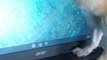 Chihuahua Chases Moving Mouse Cursor on Laptop Screen