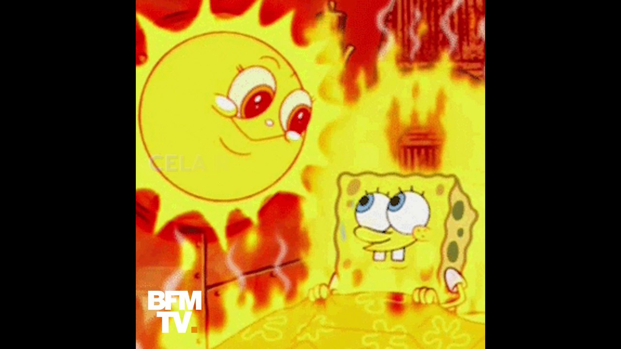 5 fausses bonnes idées pour lutter contre la canicule