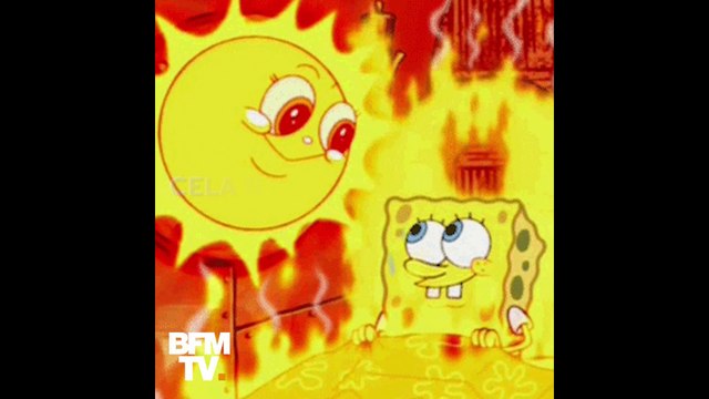 5 fausses bonnes idées pour lutter contre la canicule