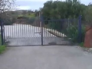 Convierten una plaza de toros en un invernadero para cultivar marihuana