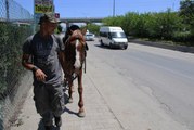 Atıyla beraber askere gitmek için Sivas'tan yola koyuldu