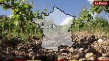 La route des vins : Loire