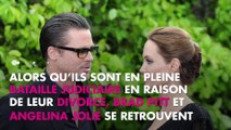 Brad Pitt et Angelina Jolie : Leur vin bat un nouveau record