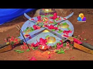 കോമഡി ഉത്സവവേദിയിൽ ഒരു കളരിപ്പയറ്റ്  | Comedy Utsavm | Viral Cuts