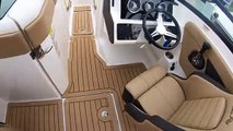 Sporty 2019 Sea Ray 230 SPX @ MarineMax Lake of the Ozarks, Missouri