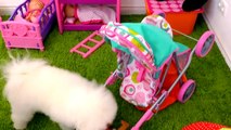 Alice as a Barbie Doll Plays with Puppy in her favorite toys | Compilation by kids smile tv
